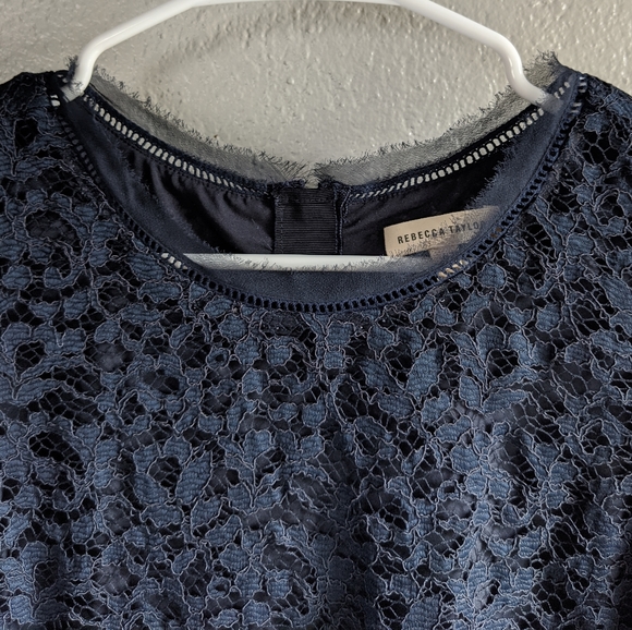 Rebecca Taylor Sleeveless Lace Miz Pleat Dress - Picture 7 of 16